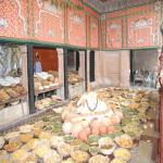 Vraj-Yatra-2014- (1176)